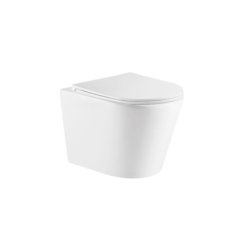 Zara66 Gloss White Wall Hung Pan with Thick UF Seat Cover Rimless Flushing Wall Hung Pan