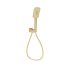 Eden Square Hand Shower On Wall Outlet Bracket Brushed Gold