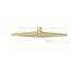 Rosa Square Overhead Shower Brushed Gold 200mm