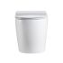Bathroom Toilet Suites Back to Wall Floor Pan Rimless Dual Flush System